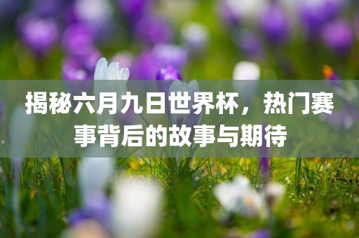 揭秘六月九日世界杯，热门赛事背后的故事与期待
