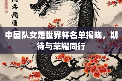 中国队女足世界杯名单揭晓，期待与荣耀同行