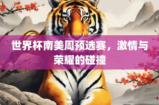 世界杯南美周预选赛，激情与荣耀的碰撞