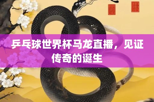 乒乓球世界杯马龙直播，见证传奇的诞生