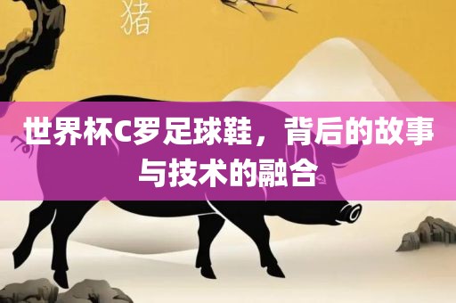 世界杯C罗足球鞋，背后的故事与技术的融合