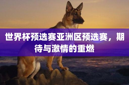 世界杯预选赛亚洲区预选赛，期待与激情的重燃