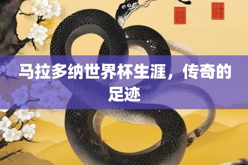 马拉多纳世界杯生涯，传奇的足迹