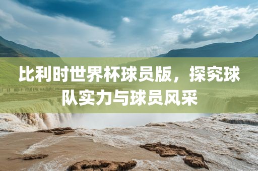 比利时世界杯球员版，探究球队实力与球员风采