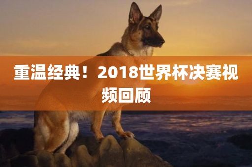重温经典！2018世界杯决赛视频回顾