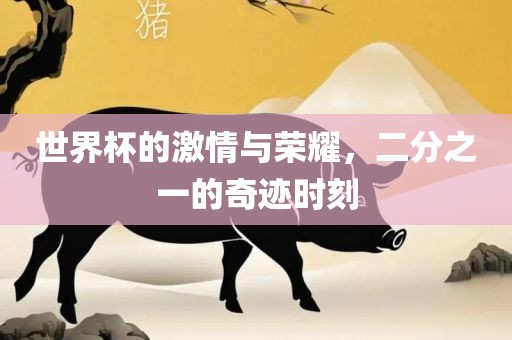 世界杯的激情与荣耀，二分之一的奇迹时刻