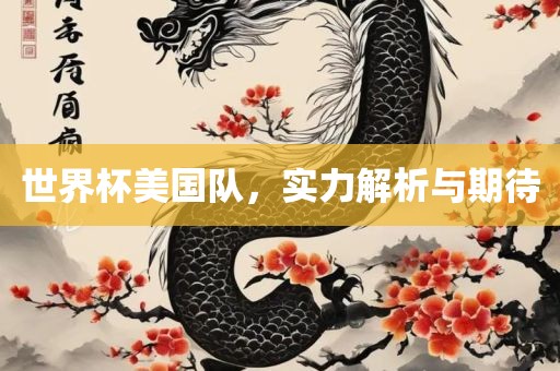 世界眉山市正发家政服务有限公司杯美国队，实力解析与期待
