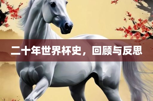 二十年世界杯史，回顾与反思