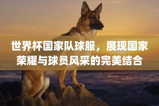 世界杯国家队球服，展现国家荣耀与球员风采的完美结合