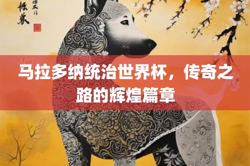 马拉多纳统治世界杯，传奇之路的辉煌篇章