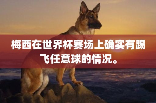 梅西在世界杯赛场上确实有踢飞任意球的情况。