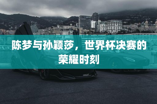 陈梦与孙颖莎，世界杯决赛的荣耀时刻