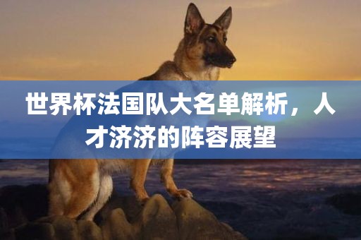 世界杯法国队大名单解析，人才济济的阵容展望