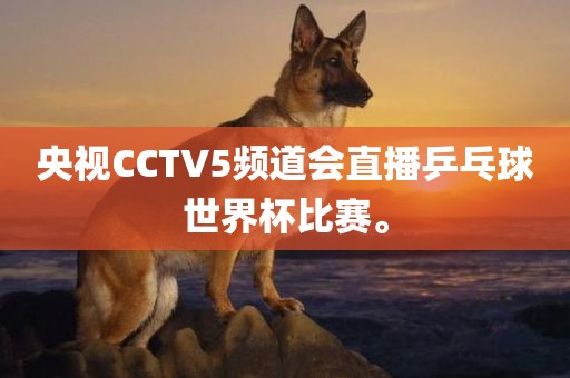 央视CCTV5频道会直播乒乓球世界杯比赛。