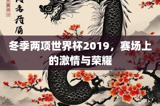 冬季两项世界杯2019，赛场上的激情与荣耀