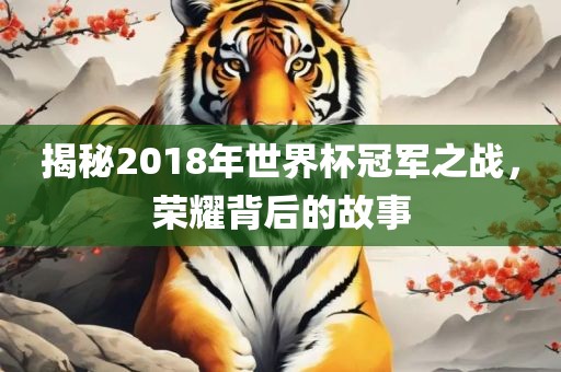 揭秘2018年世界杯冠军之战，荣耀背后的故事