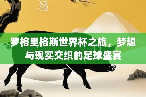 罗格里格斯世界杯之旅，梦想与现实交织的足球盛宴