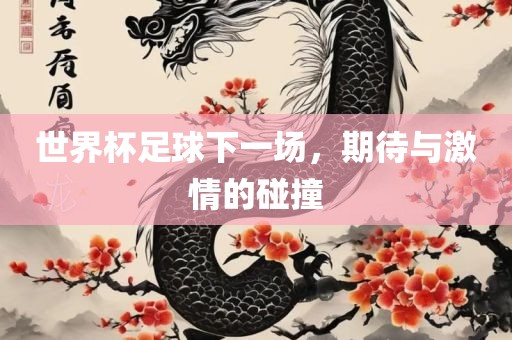 世界杯足球下一场，期待与激情的碰撞