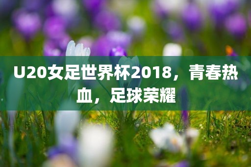 U20女足世界杯2018，青春热血，足球荣耀