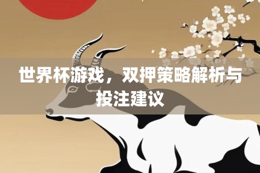 世界杯游戏，双押策略解析与投注建议