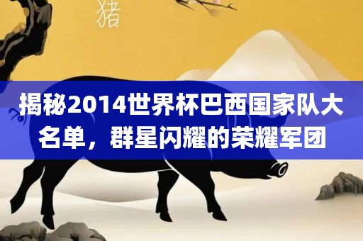 揭秘2014世界杯巴西国家队大名单，群星闪耀的荣耀军团