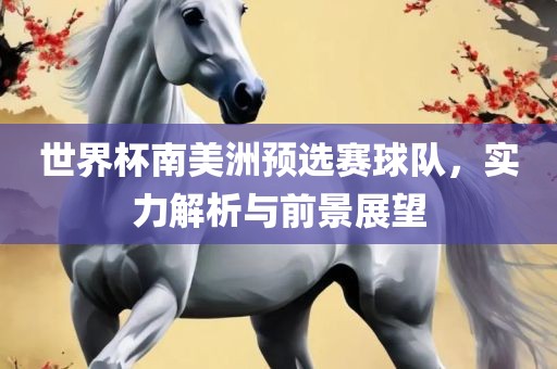 世界杯南美洲预选赛球队，实力解析与前景展望