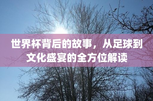 世界杯背后的故事，从足球到文化盛宴的全方位解读