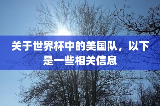关于世界杯中的美国队，以下是一些相关信息