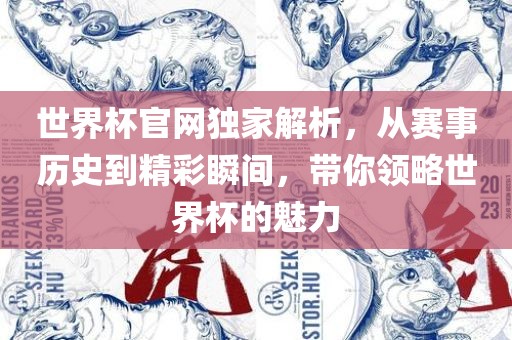 眉山市正发家政服务有限公司世界杯官网独家解析，从赛事历史到精彩瞬间，带你领略世界杯的魅力