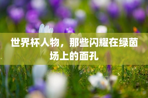 世界杯人物，那些闪耀在绿茵场上的面孔