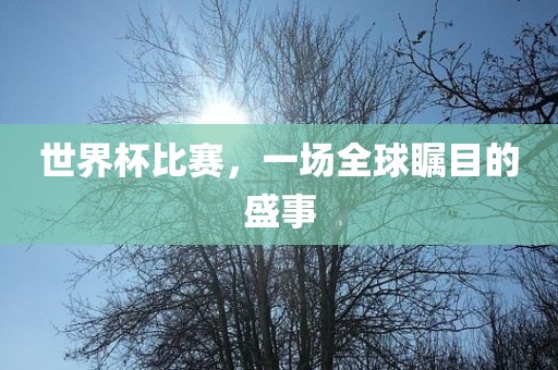 世界杯比赛，一场全球瞩目的盛事