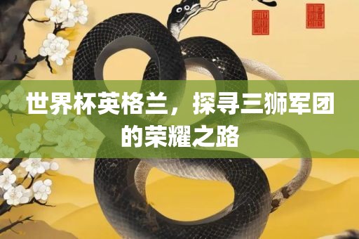 世界杯英格兰，探寻三狮军团的荣耀之路