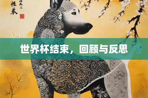 世界杯结束，回顾与反思