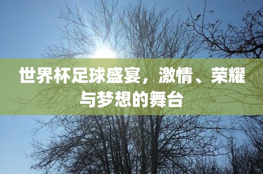 世界杯足球盛宴，激情、荣耀与梦想的舞台
