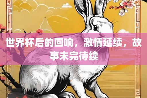 世界杯后的回响，激情延续，故事未完待续