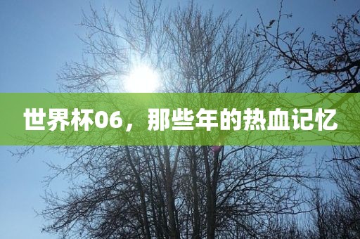世界杯06，那些年的热血记忆
