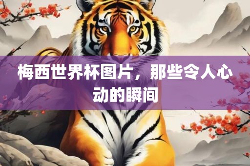 梅西世界杯图片，那些令人心动的瞬间