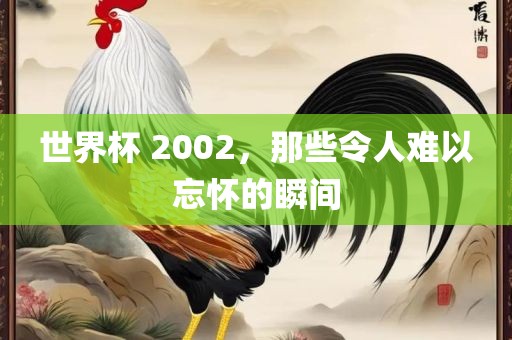 世界杯 2002，那些令人难以忘怀的瞬间