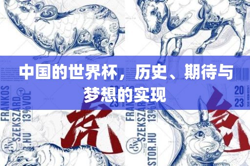中国的世界杯，历史、期待与梦想的实现