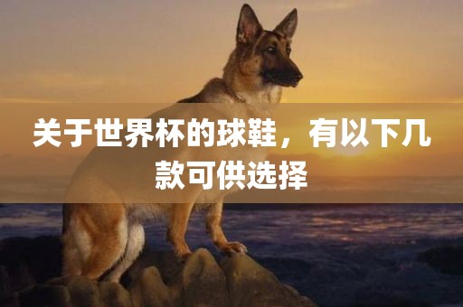 关于世界杯的球鞋，有以下几款可供选择