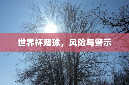 世界杯赌球，风险与警示