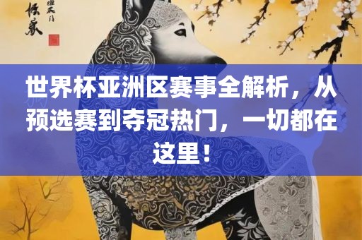 世界杯亚洲区赛事全解析，从预选赛到夺冠热门，一切都在这里！