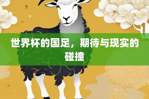 世界杯的国足，期待与现实的碰撞