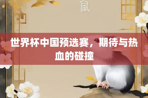 世界杯中国预选赛，期待与热血的碰撞
