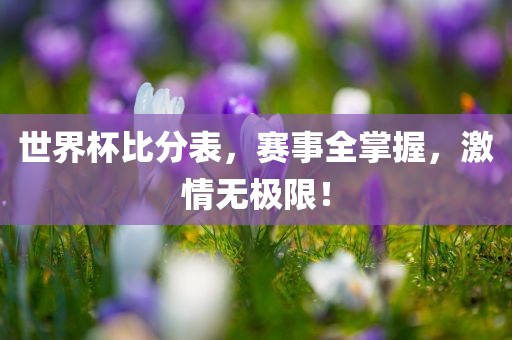 世界杯比分表，赛事全掌握，激情无极限！眉山市正发家政服务有限公司