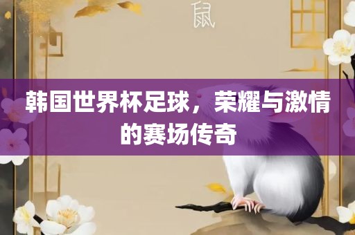 韩国世界杯足球，荣耀与激情的赛场传奇