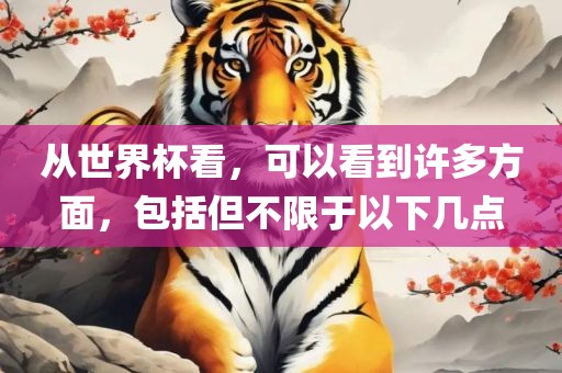 从世界杯看，可以看到许多方面，包括但不限于以下几点