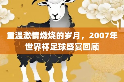 重温激情燃烧的岁月，2007年世界杯足球盛宴回顾