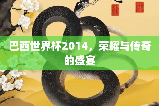 巴西世界杯2014，荣耀与传奇的盛宴