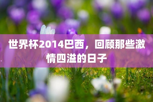 世界杯2014巴西，回顾那些激情四溢的日子